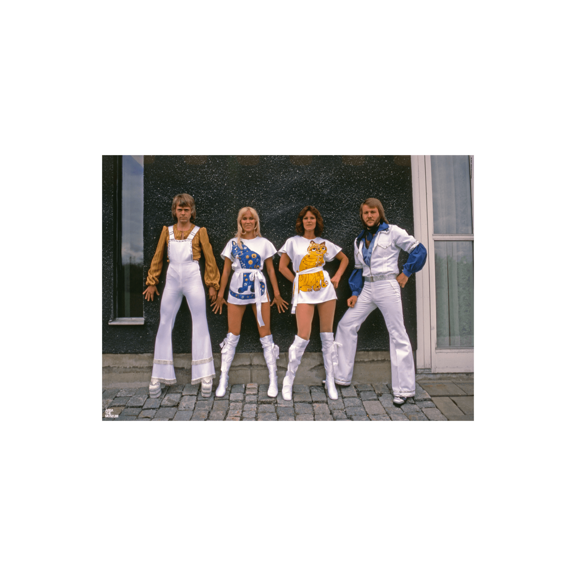 ABBA In cat suits poster